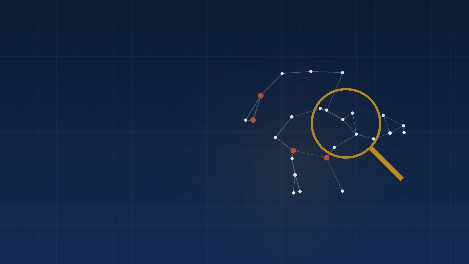 Investigation lens over a network of connected points
